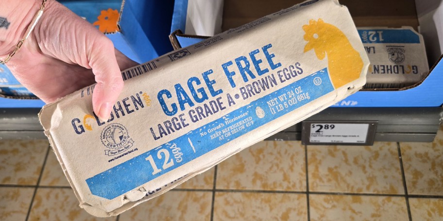 hand holding carton of cage free eggs 