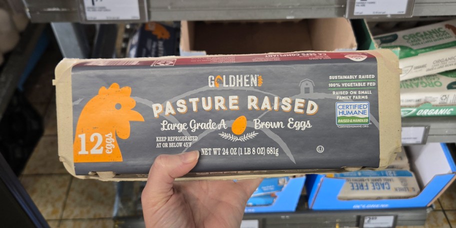 hand holding carton of eggs 