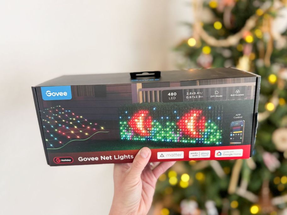 Govee 9.4' x 2' Net Lights w/ Timer box in hand