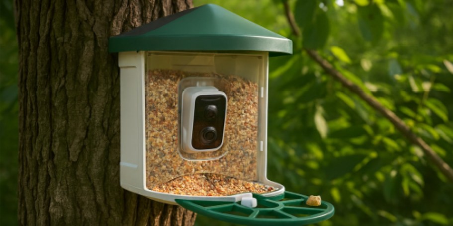 Solar-Powered Smart Bird Feeder Only $47.99 Shipped for Amazon Prime Members