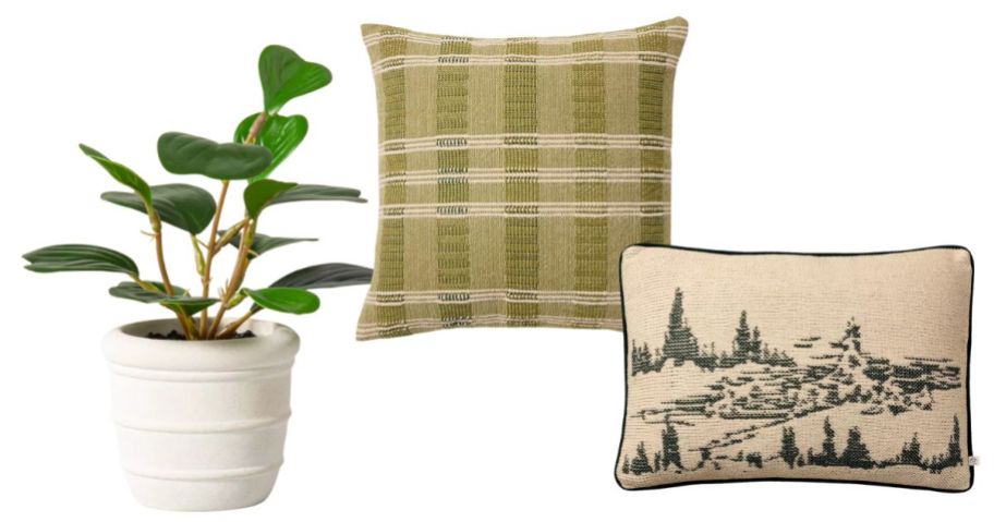hearth & hand with magnolia plant and pillows