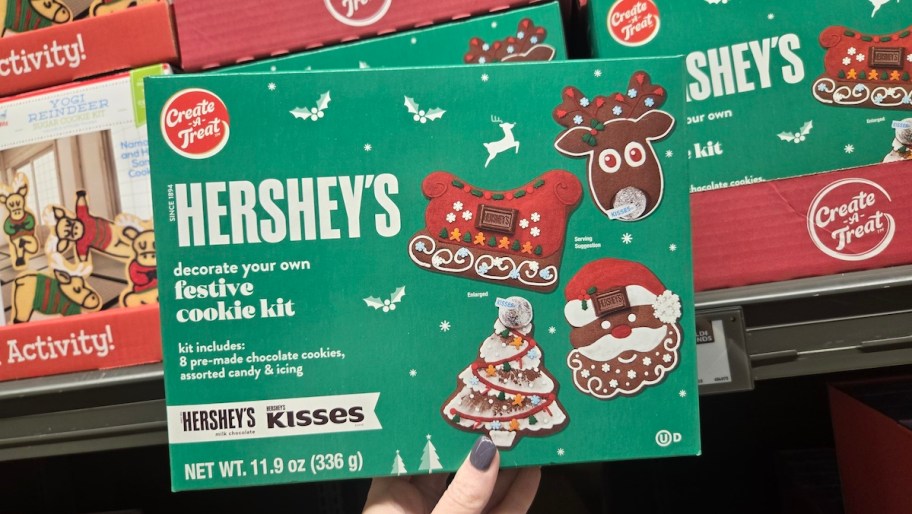 hand holding hershey's kit