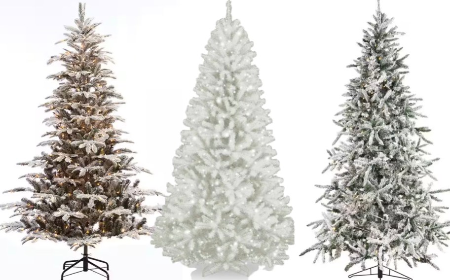 two flocked and one white christmas tree
