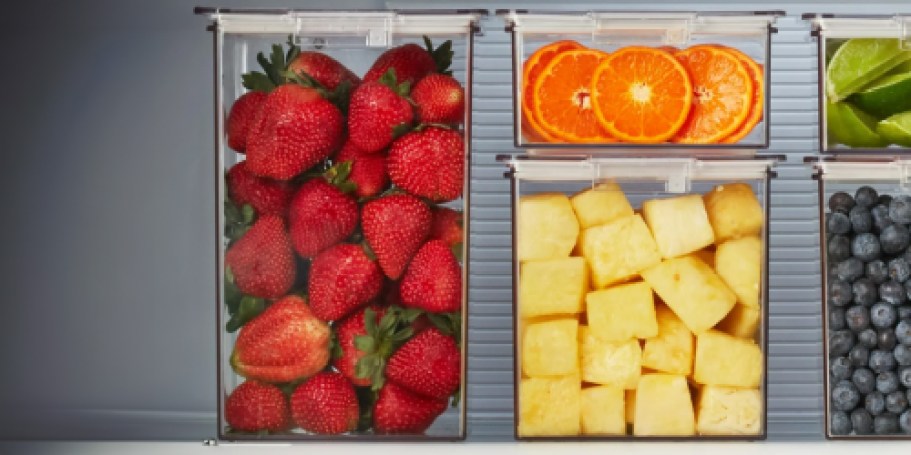 Home Edit Food Storage Container 3-Pack Only $6.96 on Walmart.com (Regularly $25)