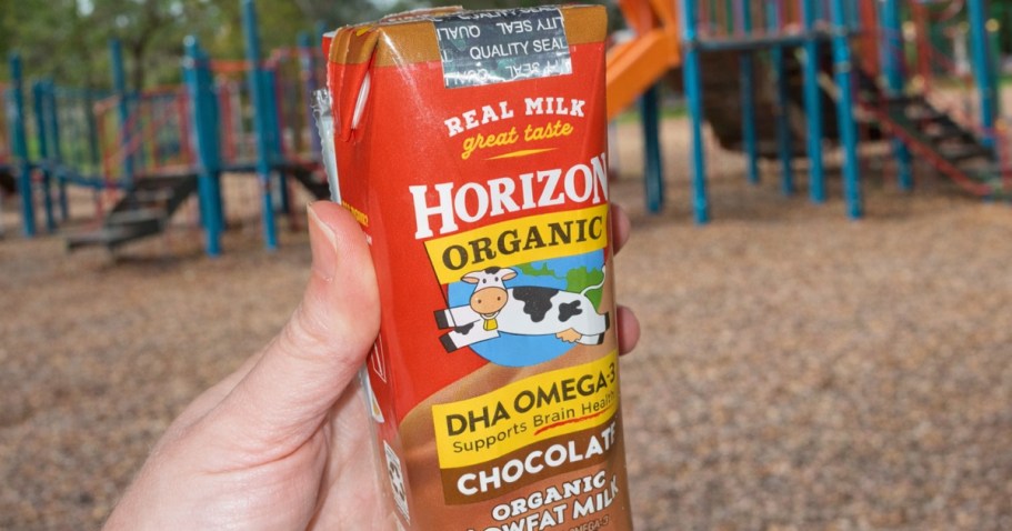 Horizon Organic Chocolate Milk 6-Count Just $4.65 Shipped on Amazon