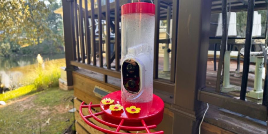 Smart Hummingbird Feeder Only $29.99 Shipped on Amazon (Reg. $126)
