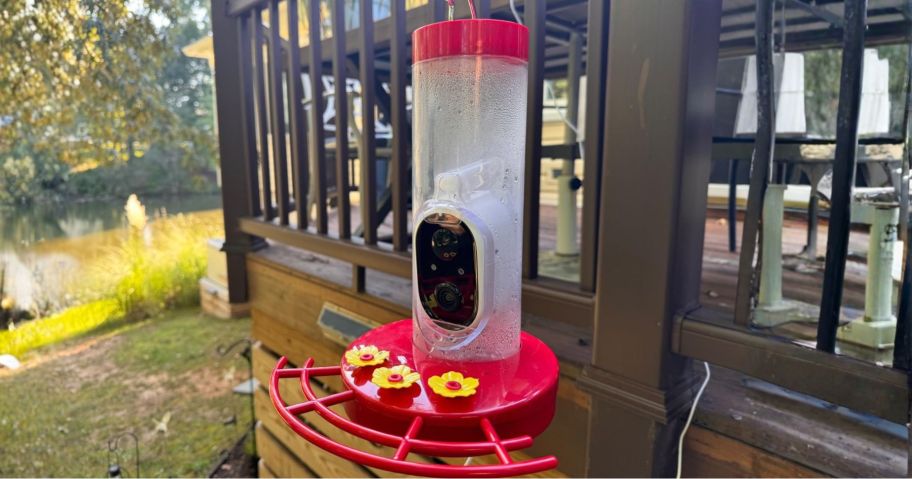 hummingbird feeder hanging outside