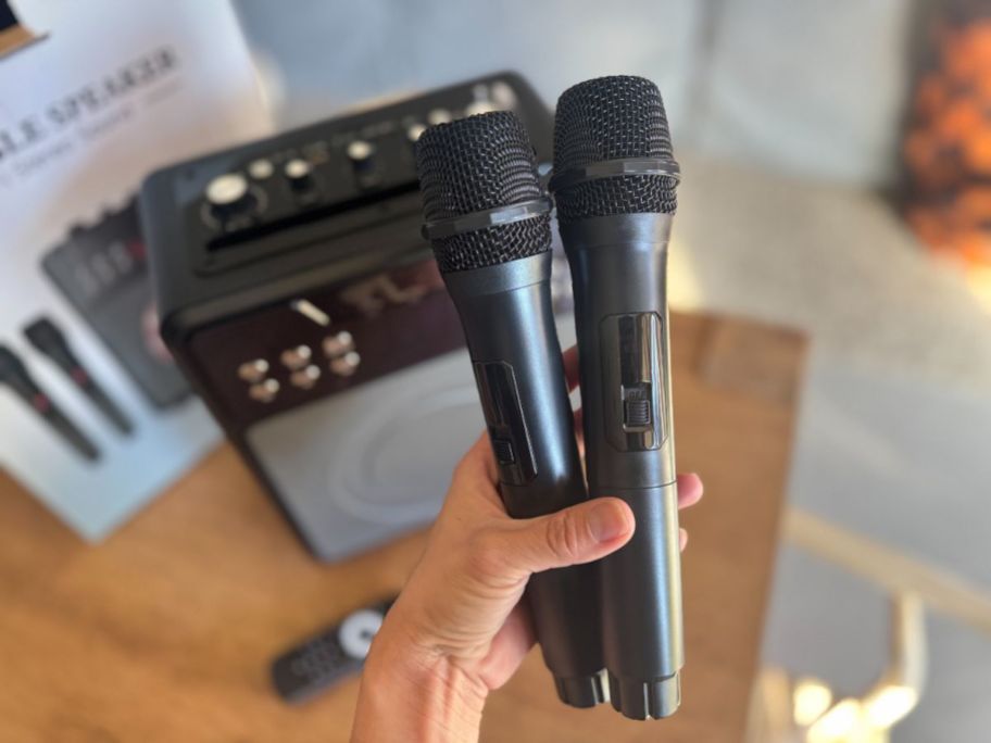 hand holding two microphones above karaoke machine