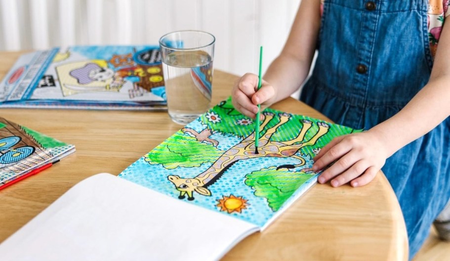 Up to 65% Off Melissa & Doug Toys | Paint w/ Water 3-Book Set Just $8.92 (Reg. $27)