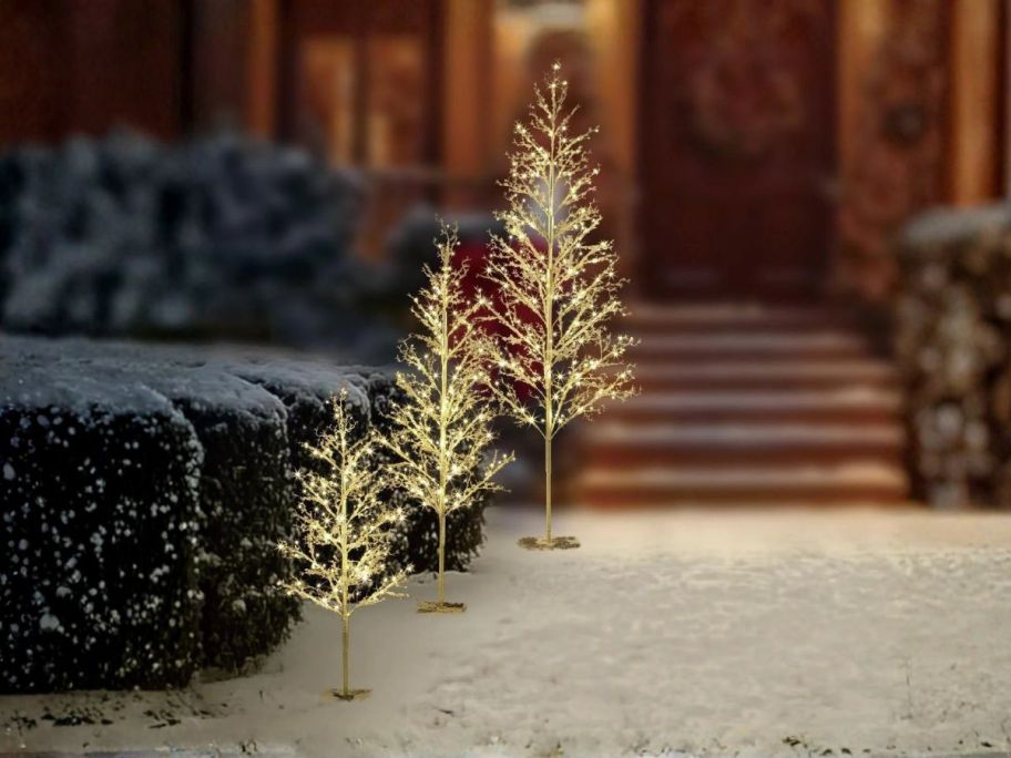 three my texas house twinkling led trees along entryway