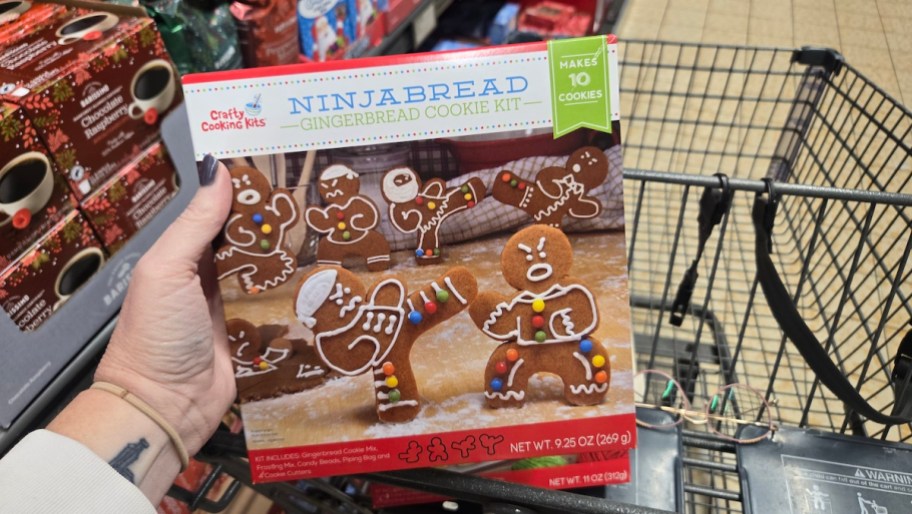 hand holding ninjabread cookie kit