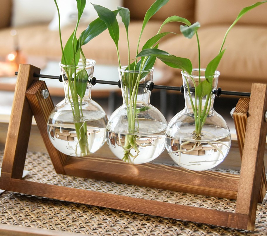 plant propagation station