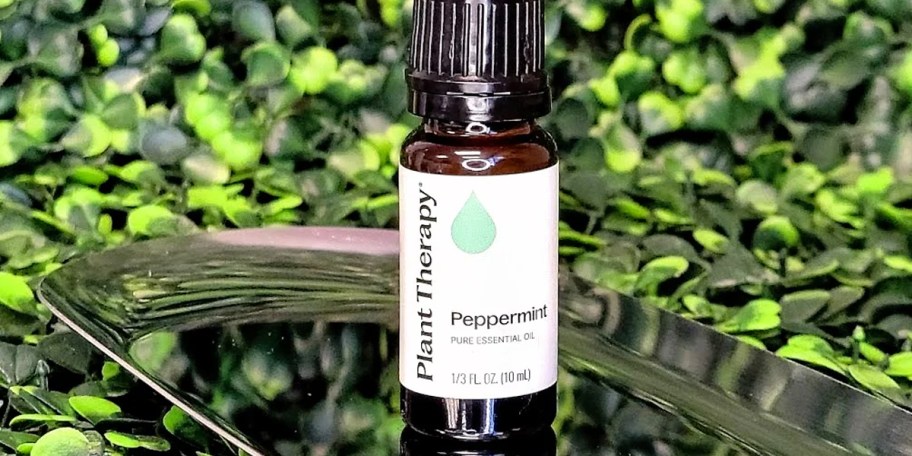 plant therapy peppermint essential oil bottle 