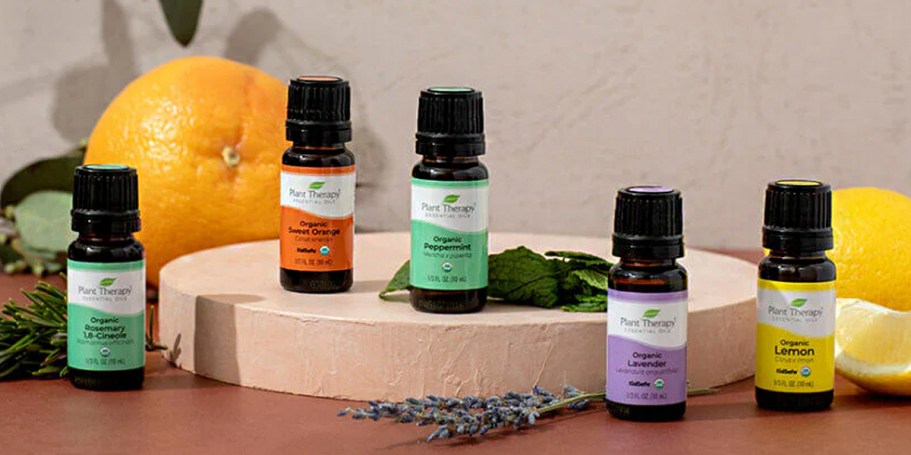 Last Chance to Score Plant Therapy Essential Oils from $4