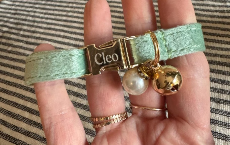 Handholding green velvet personalized Cloe cat collar