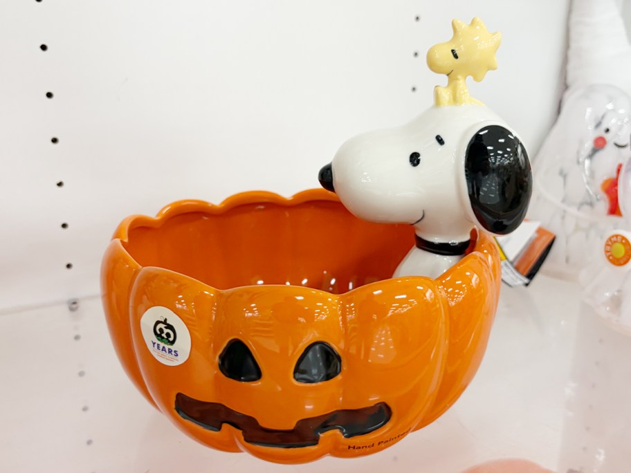 snoopy in pumpkin bowl 