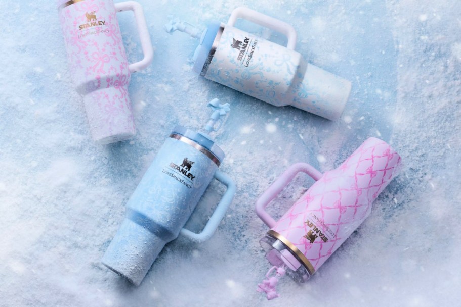 NEW Stanley x LoveShackFancy Tumblers & Gift Sets Available Now