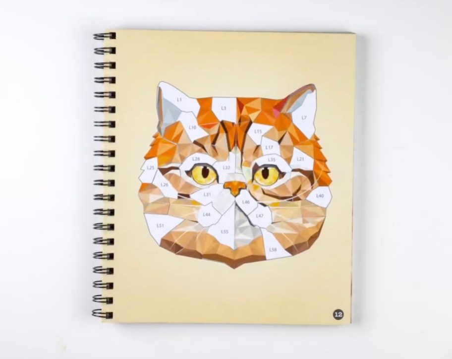 sticker by number book