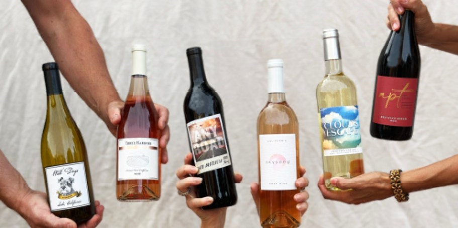 Wine 4-Piece Tool Kit AND 2 Bottles of Swirl Wine Just $25 Shipped ($65 Value)