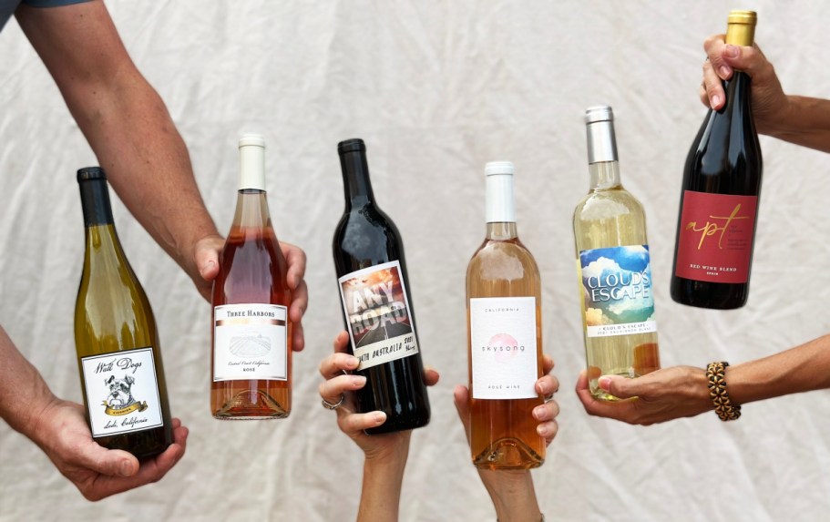 Wine 4-Piece Tool Kit AND 2 Bottles of Swirl Wine Just $25 Shipped ($65 Value)