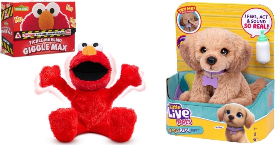 Stock images of tickle me elmo and live pets bailey dog