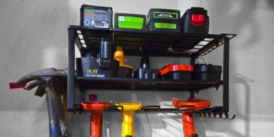 Wall-Mounted Tool Organizer Just $27.99 Shipped for Prime Members (Reg. $60)