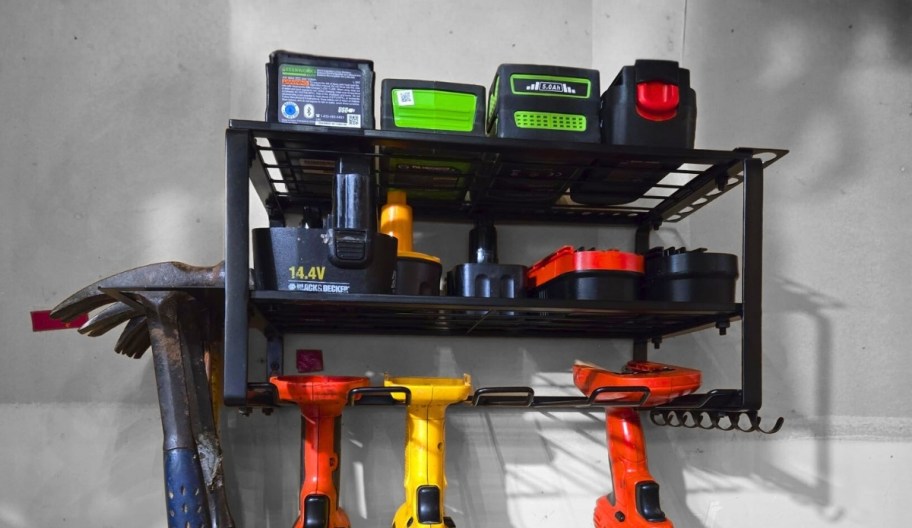 a wall mounted tool organizer installed and holding tools