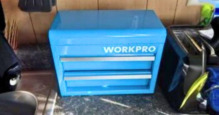 Workpro Mini Metal Tool Box Only $19.99 on Walmart.com (Reg. $40)