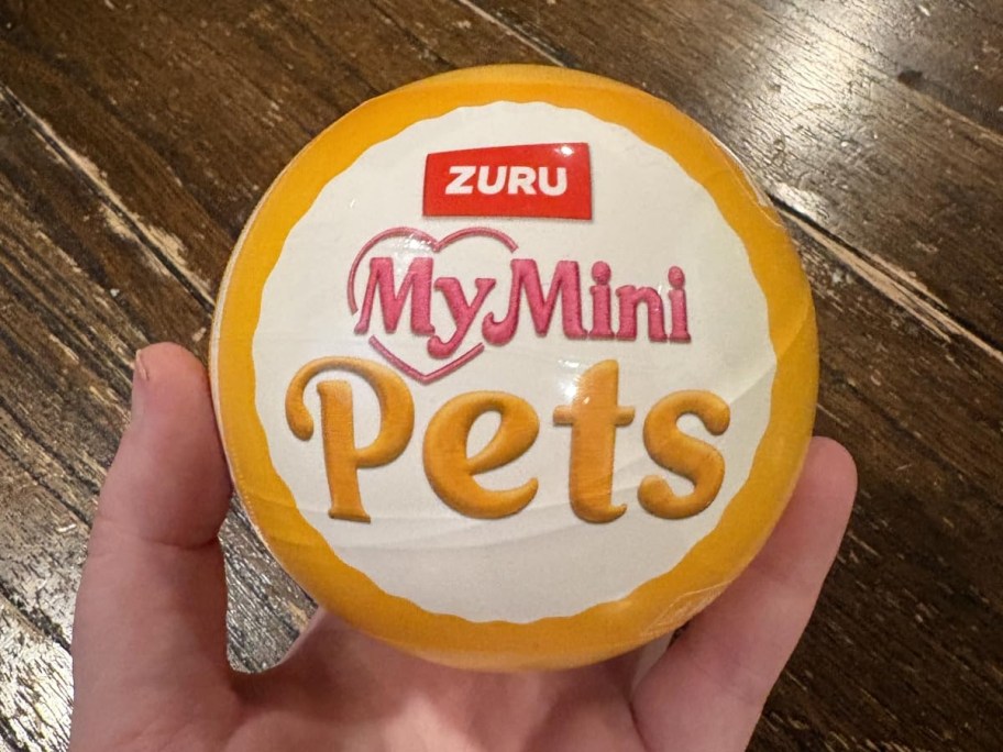 holding a mini pet blind ball