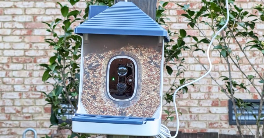 white and blue bird feeder with camera