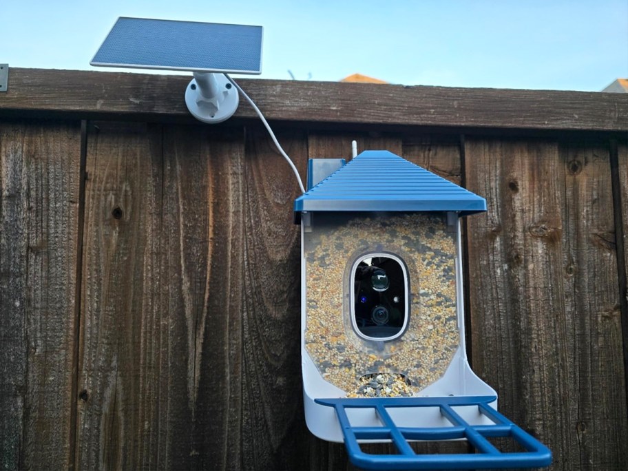 white and blue bird feeder with camera
