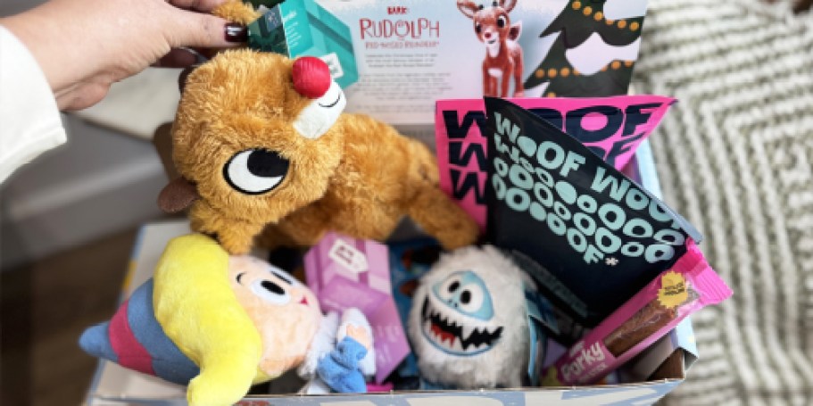 Score 2 Extra Toys AND Treats in Your Pup’s Christmas BarkBox (Gift Idea for Pet Parents!)