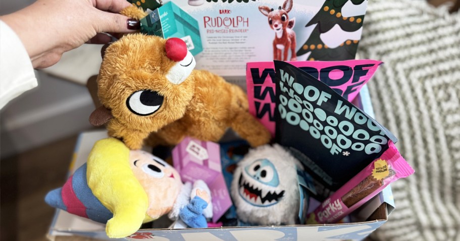 Score 2 Extra Toys AND Treats in Your Pup’s Christmas BarkBox (Gift Idea for Pet Parents!)