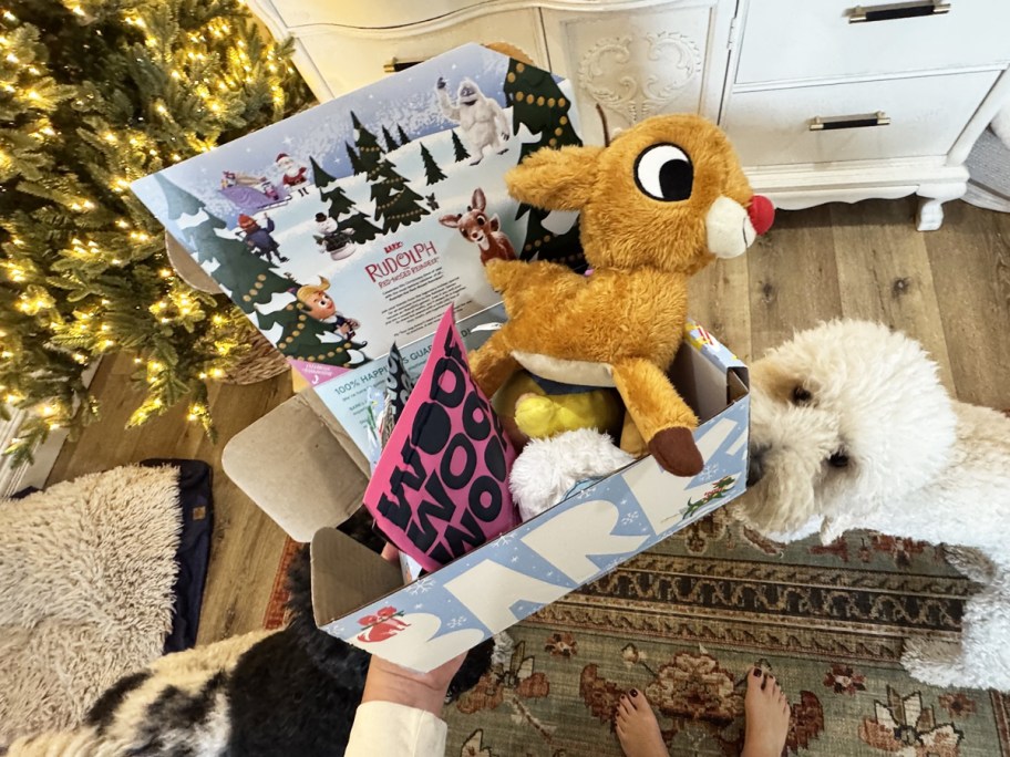 holding a Rudolph themed barbox with dogs in background