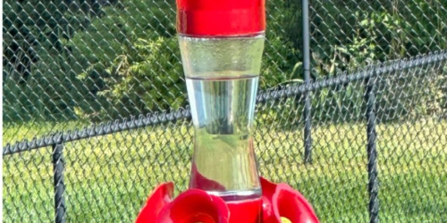 Glass Hummingbird Feeder Just $7.97 on Amazon | Mother’s Day Gift Idea