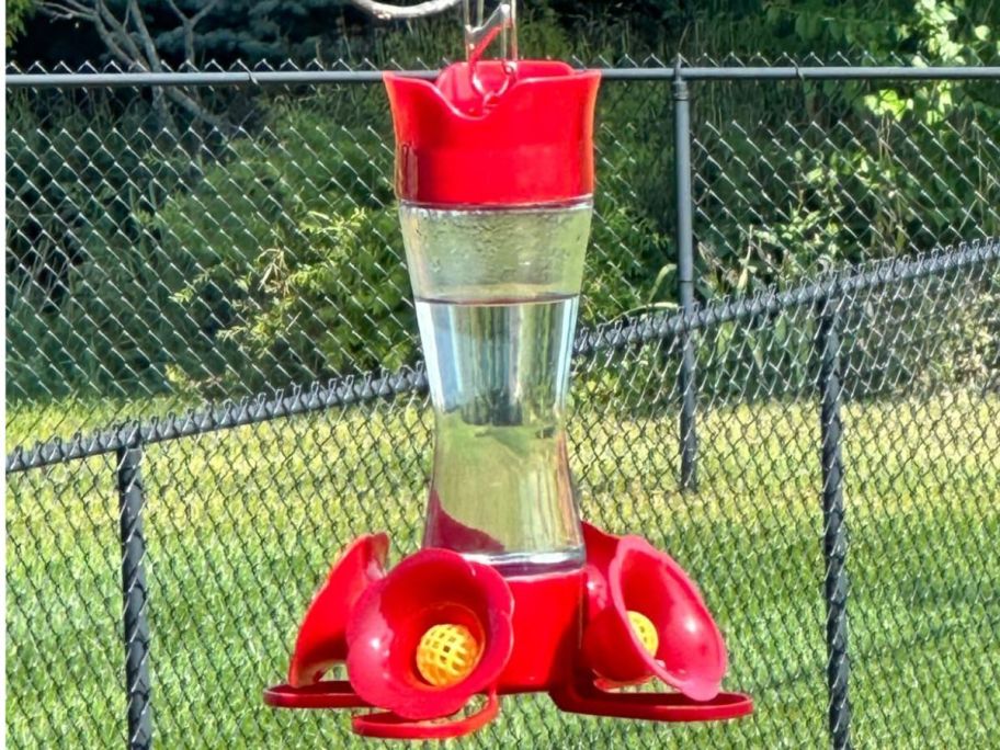 red and clear glass hummingbird feeder