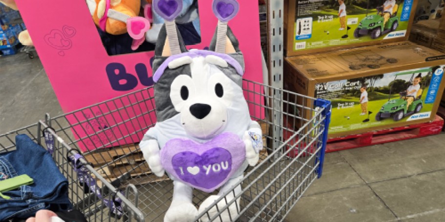 Bluey Jumbo Valentine’s Plush Just $29.98 on SamsClub.com