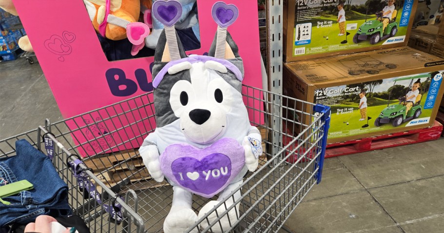 Bluey Jumbo Valentine’s Plush Just $29.98 on SamsClub.com