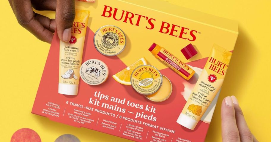 Burts Bees Tips and Toes Kit