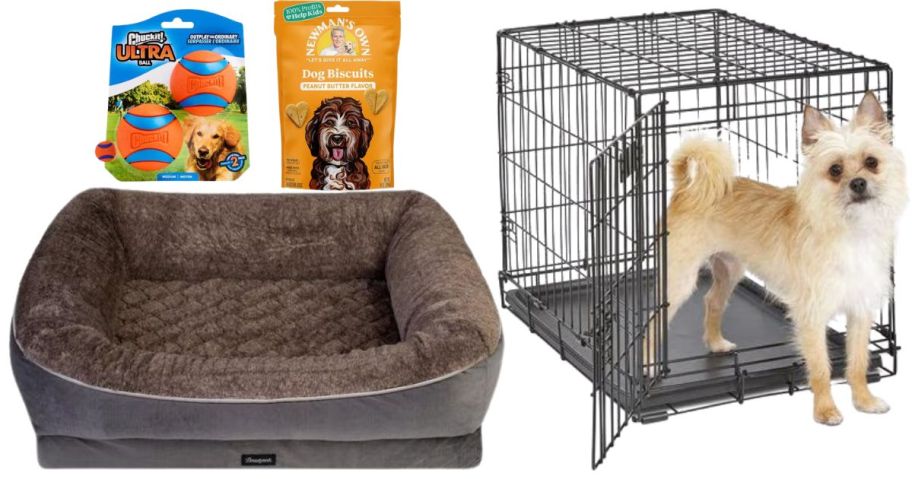 A dog bed, crate with a dog coming out of it, treat bag, and chuck it balls