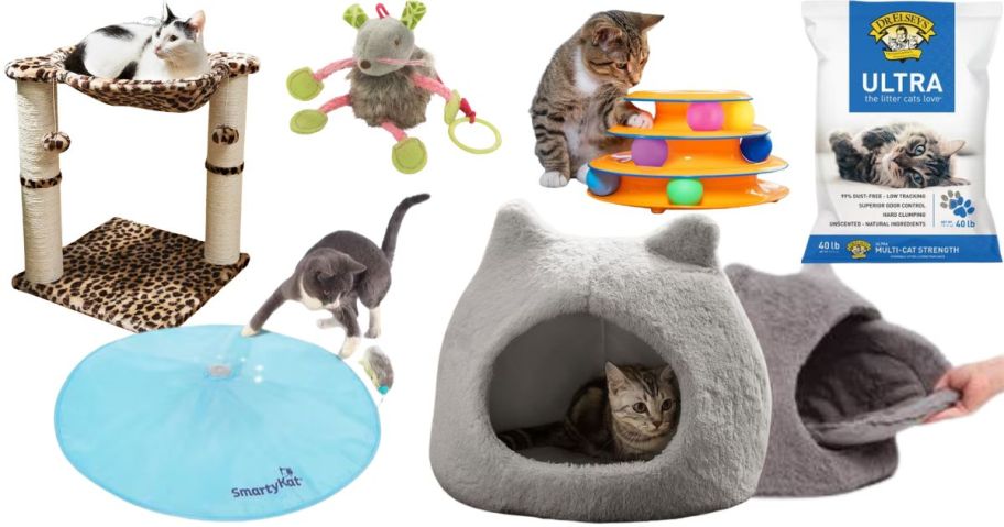 A scratching post/hammock with a cat in it, a cat bed with ears, a cat playing with a ball toy, and a bag of cat litter
