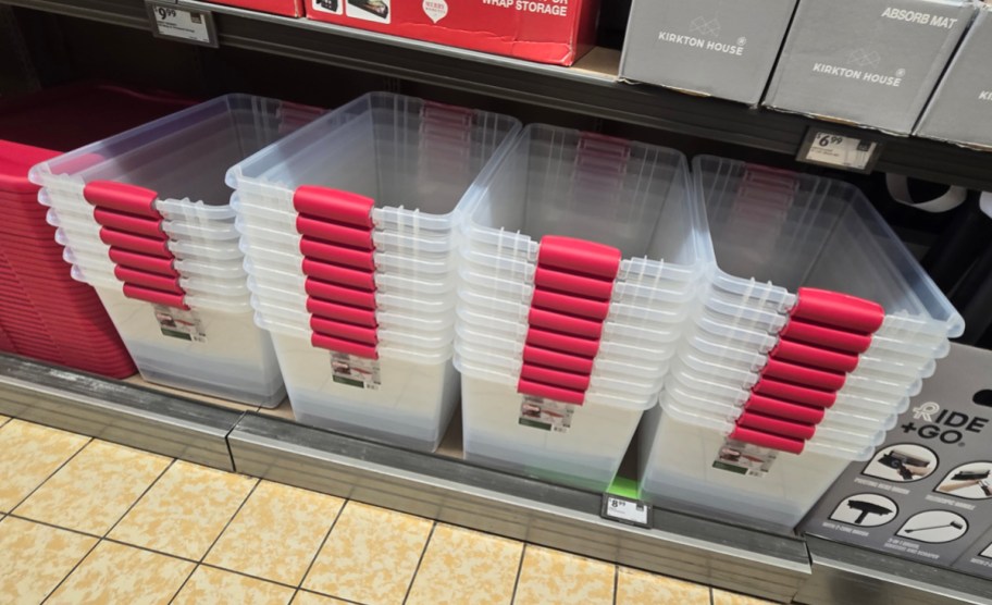 Clear Plastic Storage Totes