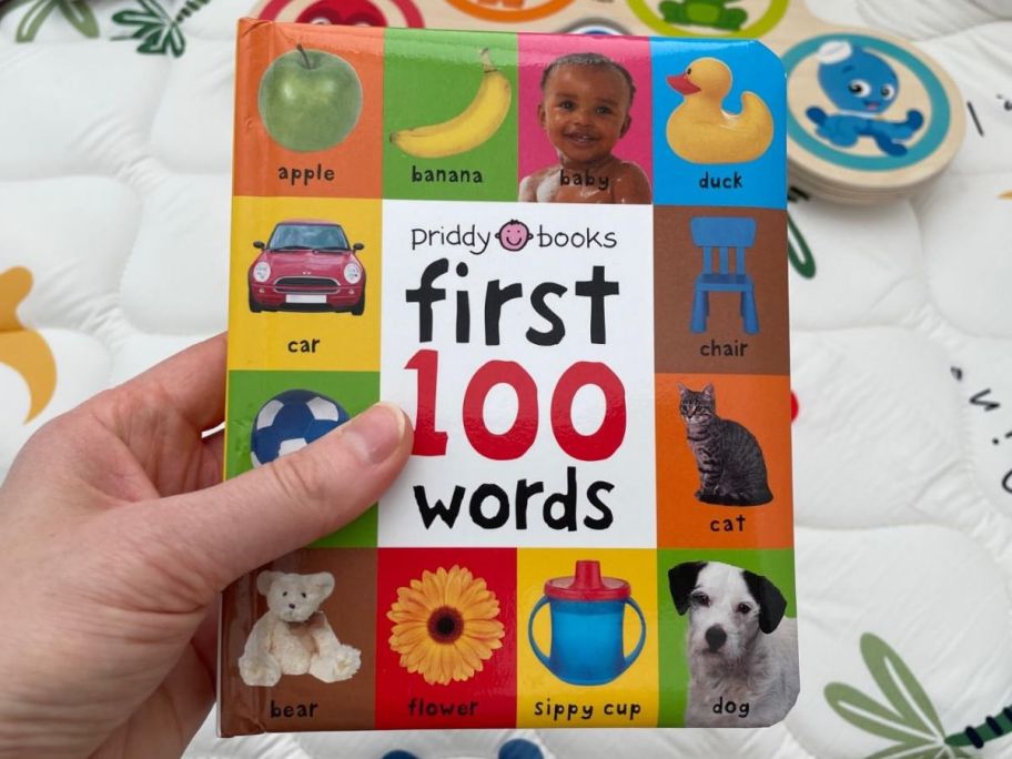 Hand holding a First 100 Words Book