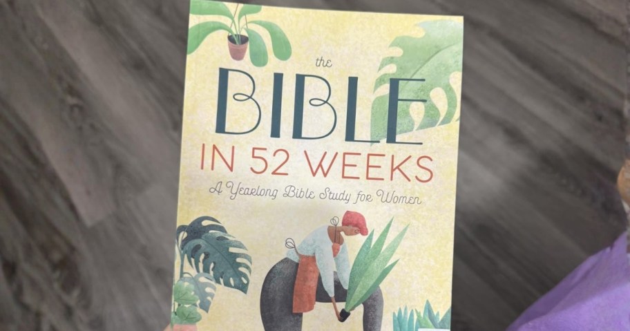 hand holding a Bible in 52 weeks book