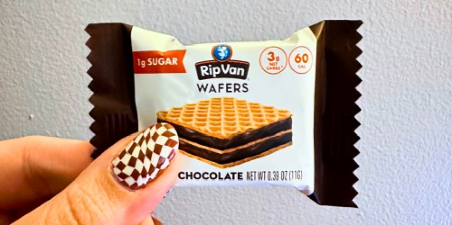 Rip Van Wafels Minis Wafers 28-Count Just $8.39 Shipped on Amazon (Reg. $23) | Low-Carb Snacks!