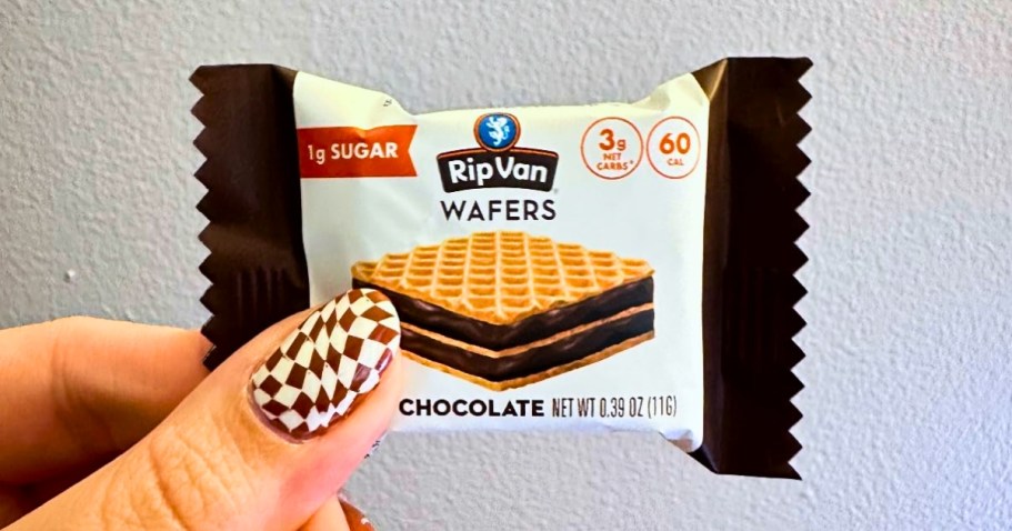 Rip Van Wafels Minis Wafers 28-Count Just $8.39 Shipped on Amazon (Reg. $23) | Low-Carb Snacks!