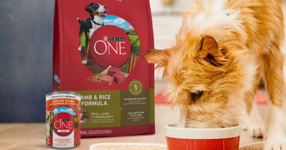 a dog eating out of a dog bowl, can and bag of Purina One Plus dog food to the side