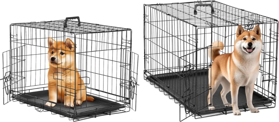 two metal dog crates in different sizes each with a dog in them