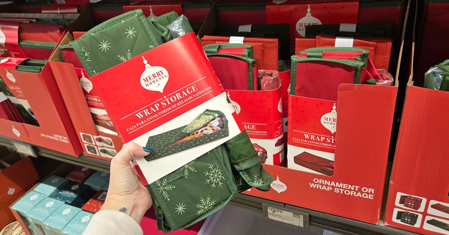 New at ALDI: Holiday Storage, Spin Scrubber, New Year’s Eve Party Kit, + More