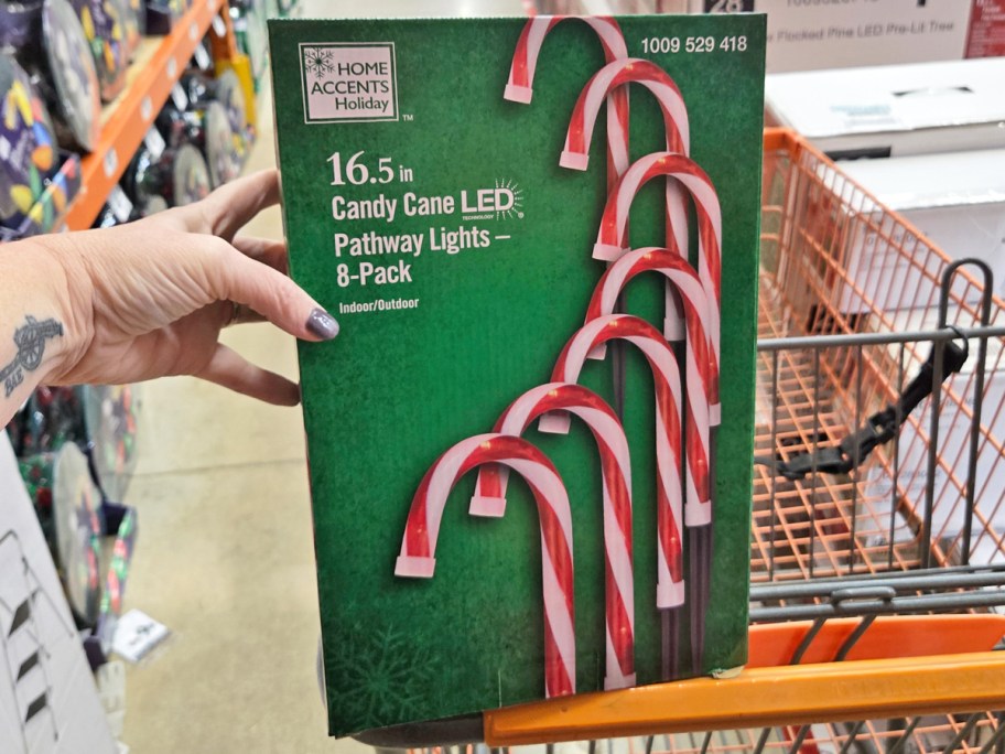 hand holding a box of candy cane pathway lights